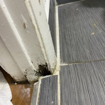 Motel 6 - Mold in the shower door frame. - Hotels Near Me - West Columbia, South Carolina Motel 6 - Mold in the shower door frame. - Hotels Near Me - West Columbia, South Carolina