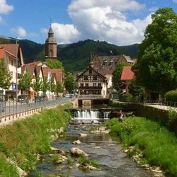Restaurant Rebstock Oppenau - Sur la carte, on trouve de la truite... dans le torrent, on peut les voir... ces derniers ont l'air bien agités !