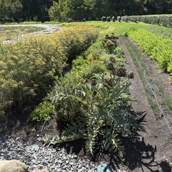 Craggy Range Vineyards - Vegetable garden , truly farm-to-table