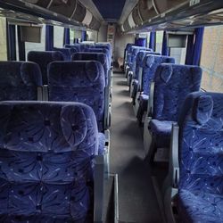 Jaguar's Busline