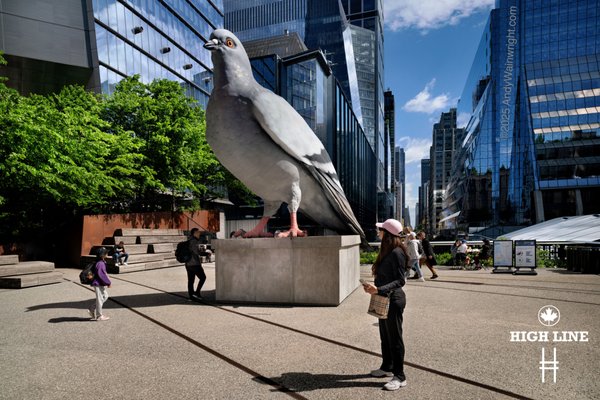 The High Line by null