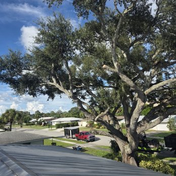 Lopez Ordonez Landscaping Services - Tree trimmed - Landscaping Near Me Lopez Ordonez Landscaping Services - Tree trimmed - Landscaping Near Me