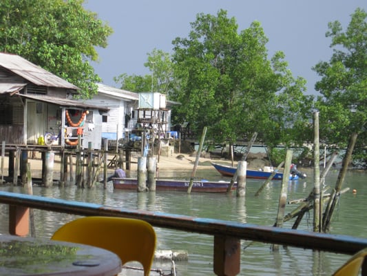 Season Live Seafood by null