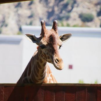 Wildlife Learning Center - Zoos Near Me - Sylmar, California