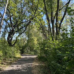 Springbrook Nature Center