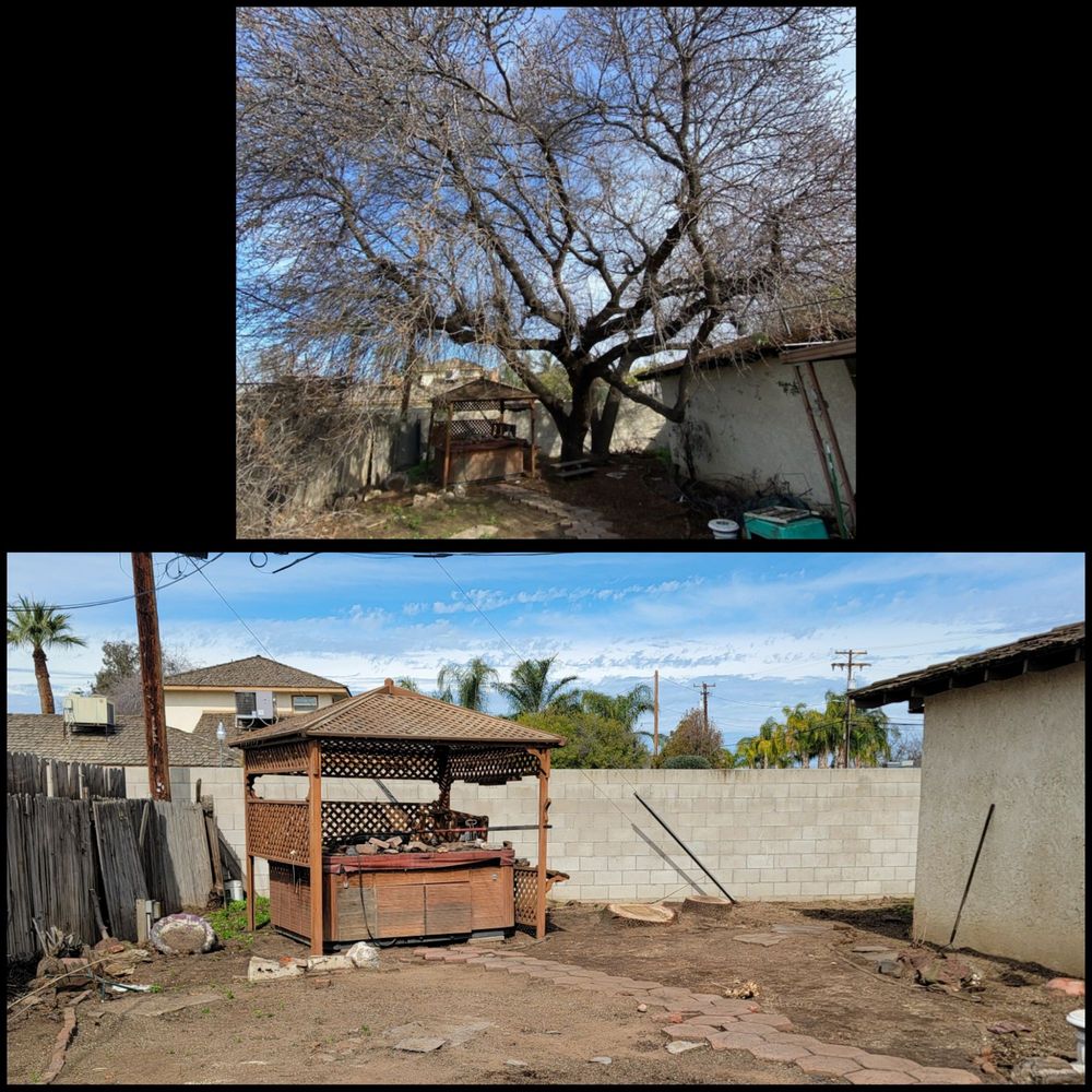 Before and after Before and after