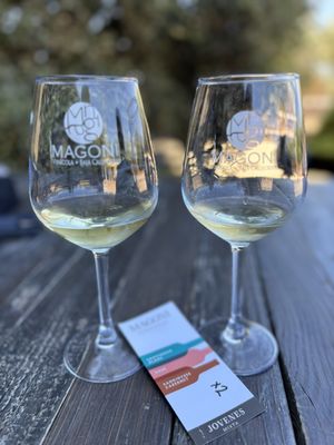 Casa Magoni Winery by null