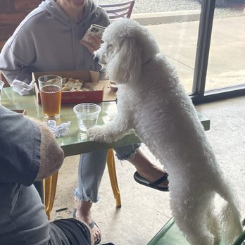 Goose and The Monkey Brew House - Dog friendly place - Coffee & Tea Near Me - Lexington, North Carolina