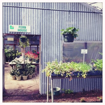 Fanick S Garden Center 129 Photos 33 Reviews Nurseries