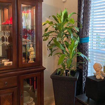 Nails For You - Welcome to my business - Nail Salons Near Me - Pearland, Texas