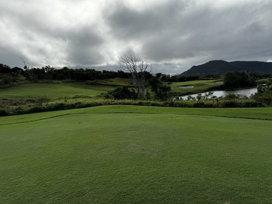 Hamilton Island Golf Club by null