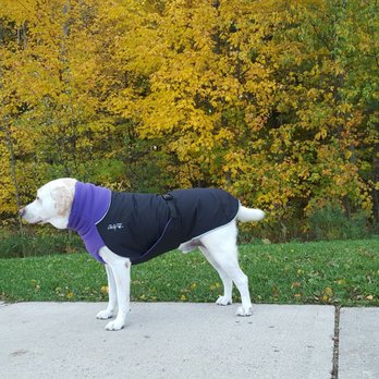 PetsCool - Chilly Dog Great White Coat - Pet Sitting Near Me - Barrie, Ontario