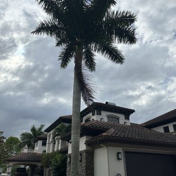 Randy Small Landscape - Before - Tree Services Near Me - Pompano Beach, Florida Randy Small Landscape - Before - Tree Services Near Me - Pompano Beach, Florida