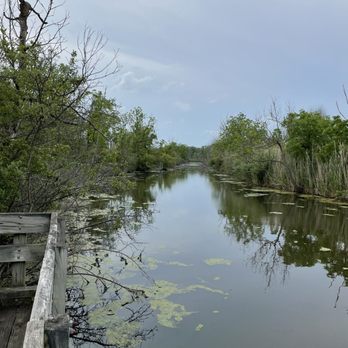 Lake Erie Metropark - Marshy overlook - Parks Near Me - Brownstown, Michigan Lake Erie Metropark - Marshy overlook - Parks Near Me - Brownstown, Michigan