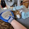 Zack’s PetSitting Service gift card