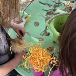 Big Tree Little Preschool
