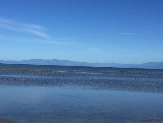 Farewell Spit by null
