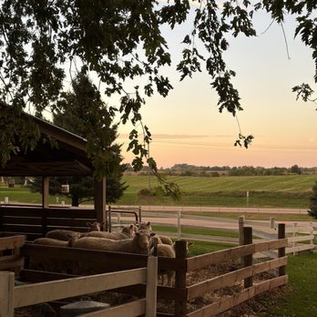 Legacy Hill Farm - Sheep live here - Venues & Event Spaces Near Me - Welch, Minnesota Legacy Hill Farm - Sheep live here - Venues & Event Spaces Near Me - Welch, Minnesota