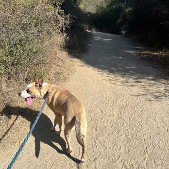 Santa Margarita River Trail - Hiking Near Me - Fallbrook, California Santa Margarita River Trail - Hiking Near Me - Fallbrook, California