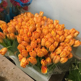 The Flower Place - Florists Near Me - Miami, Florida The Flower Place - Florists Near Me - Miami, Florida