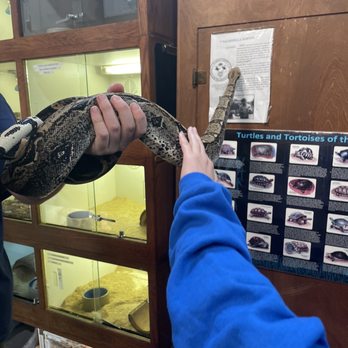 East Bay Vivarium - Reptile Shops Near Me - Berkeley, California
