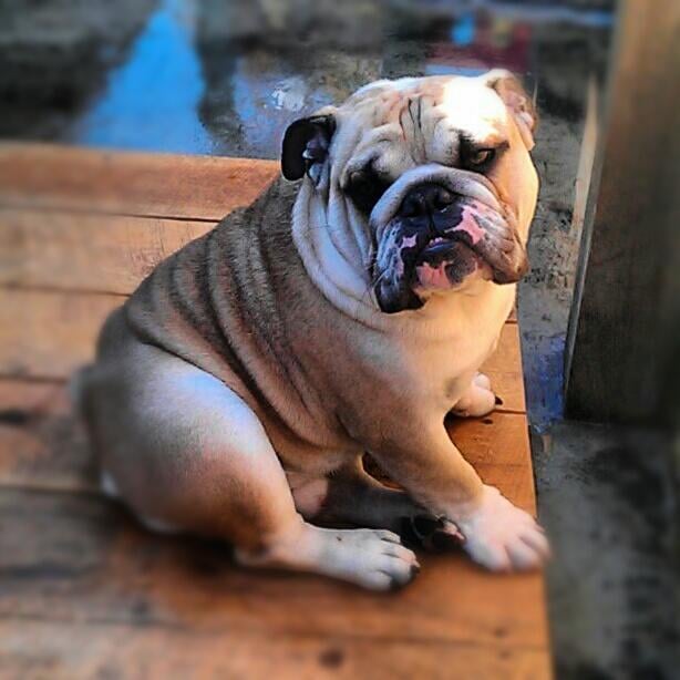 POWDERLY MEADOWS Updated September 2024 50 Montgomery St, Lakeville