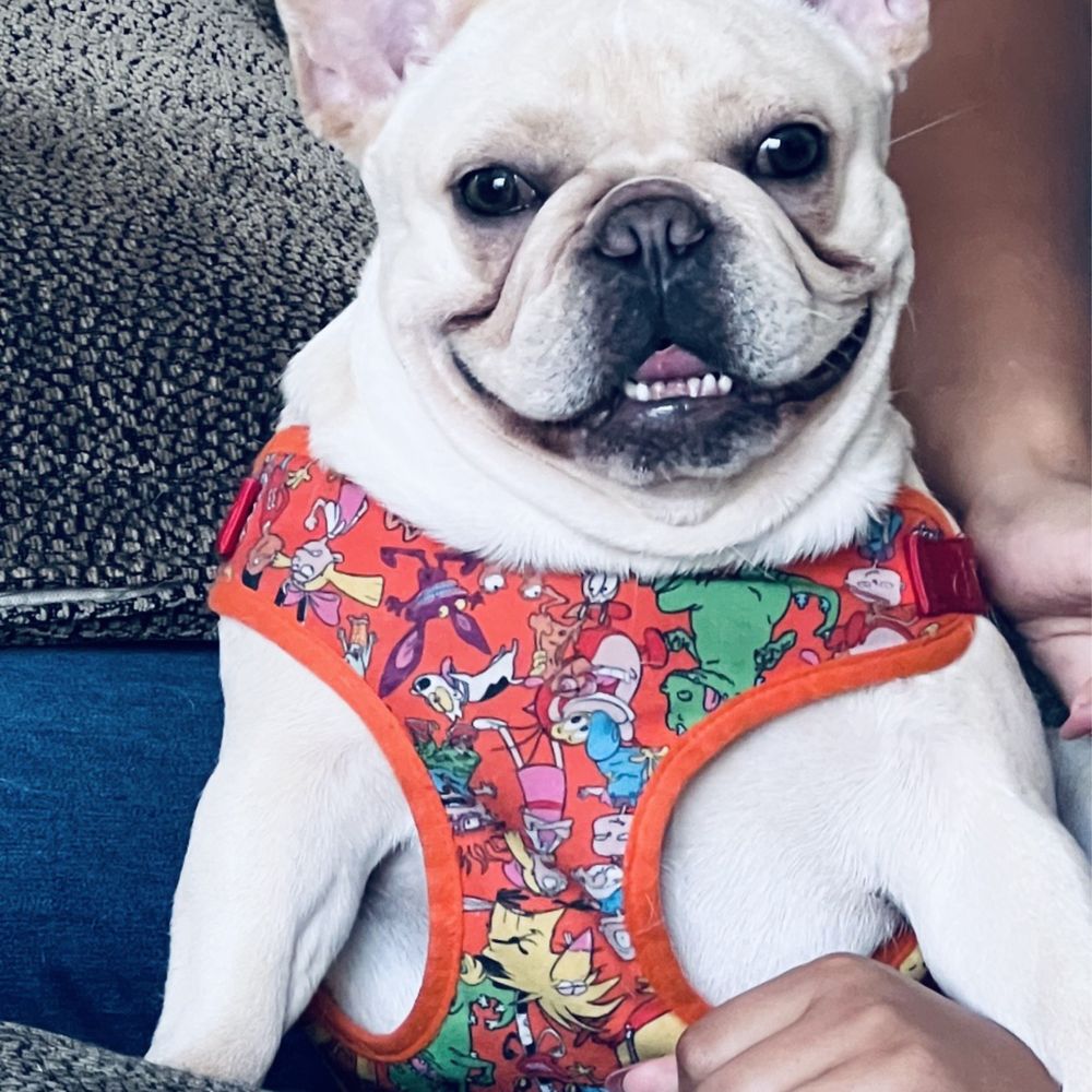 THE BEST 10 Veterinarians Open on Sunday near Laguna Niguel, CA 92677 -  Updated 2026 - Quality & Affordability - Yelp