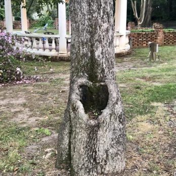 Twelve Oaks Bed and Breakfast - Bed & Breakfast Near Me - Covington, Georgia