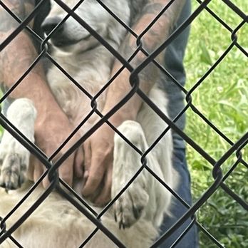 Wolf Hollow - Community Service/Non-Profit Near Me - Ipswich, Massachusetts