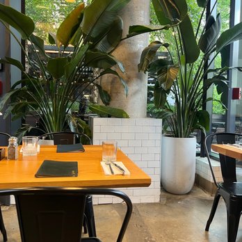 Isla & Co - Williamsburg - Dining area - Cafes Near Me - Brooklyn, New York