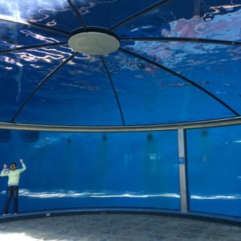 Indianapolis Zoo - Dolphin area - Zoos Near Me - Indianapolis, Indiana Indianapolis Zoo - Dolphin area - Zoos Near Me - Indianapolis, Indiana