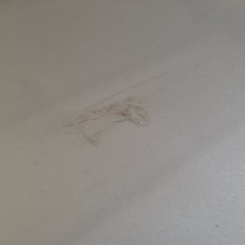 Speedy Car Wash - Glob of residue left on my car after a wash - in three locations. - Car Wash Near Me - St. Louis, Missouri Speedy Car Wash - Glob of residue left on my car after a wash - in three locations. - Car Wash Near Me - St. Louis, Missouri