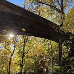 Hester Bridge