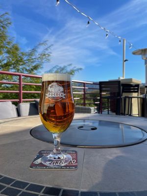 Pocock Brewing Public House by null
