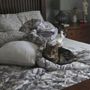 Photo of At Home Farm House & Pet Sitting
