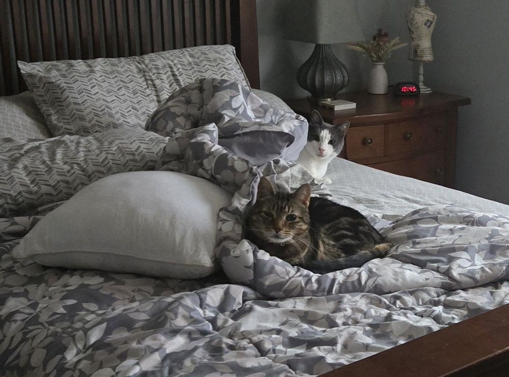 At Home Farm House & Pet Sitting - pet boarding facility in Hilton, NY