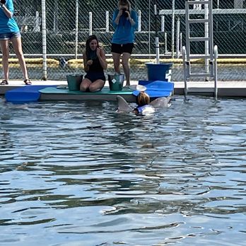 Dolphins Plus Marine Mammal Responder - Aquariums Near Me - Key Largo, Florida Dolphins Plus Marine Mammal Responder - Aquariums Near Me - Key Largo, Florida