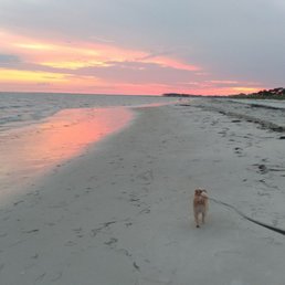 Alligator Point, June 2018