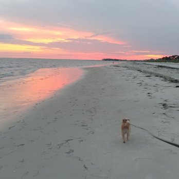Alligator Point - Alligator Point, June 2018 - Beaches Near Me - Panacea, Florida