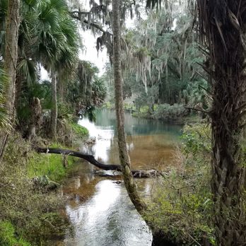 Gemini Springs Park - Parks Near Me - Debary, Florida