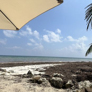Maya Chan Beach - Beach view - Mexican Near Me - Majahual, ROO Maya Chan Beach - Beach view - Mexican Near Me - Majahual, ROO