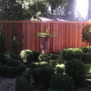 Alderete Fences - 6ft Fence w/ Cap - General Contractors Near Me - Austin, Texas Alderete Fences - 6ft Fence w/ Cap - General Contractors Near Me - Austin, Texas