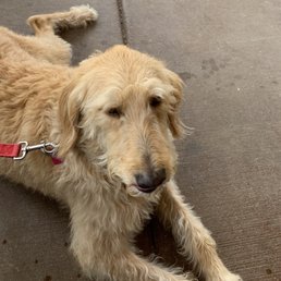 Sadie