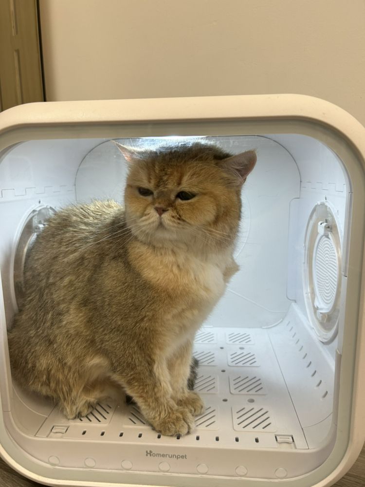 PET BELOVED Updated June 2024 862 Photos & 73 Reviews 6375 El