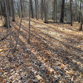 Dundas Valley Conservation Area - Parks Near Me - Dundas, Ontario