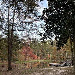 Beautiful in the fall