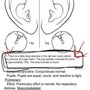 Photo of Campbell Ear Nose & Throat