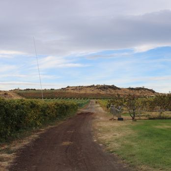 Wilridge Vineyard, Winery & Distillery - Vineyard - Wine Tasting Room Near Me - Yakima, Washington Wilridge Vineyard, Winery & Distillery - Vineyard - Wine Tasting Room Near Me - Yakima, Washington