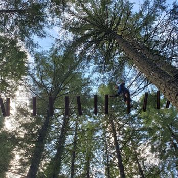 Tree to Tree Adventure Park - Amusement Parks Near Me - Gaston, Oregon