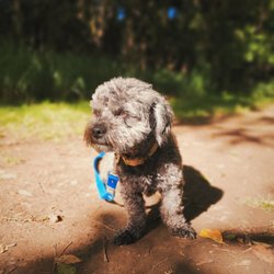 TedWalks